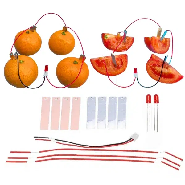 Kit de Generación de Energía con Frutas 