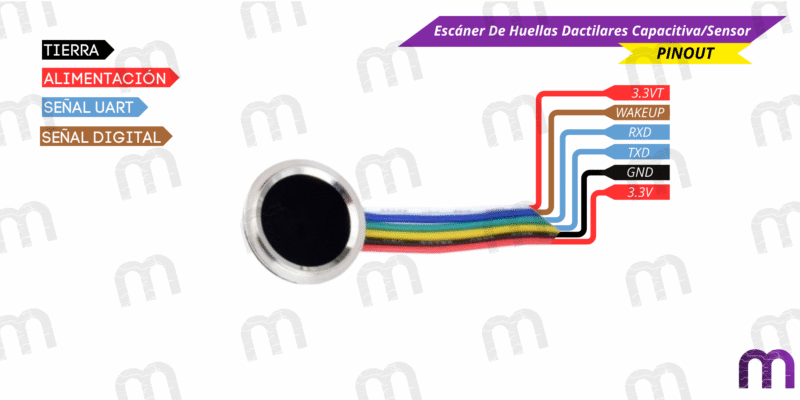 escaner de huellas Escáner De Huellas Dactilares Capacitiva/Sensor